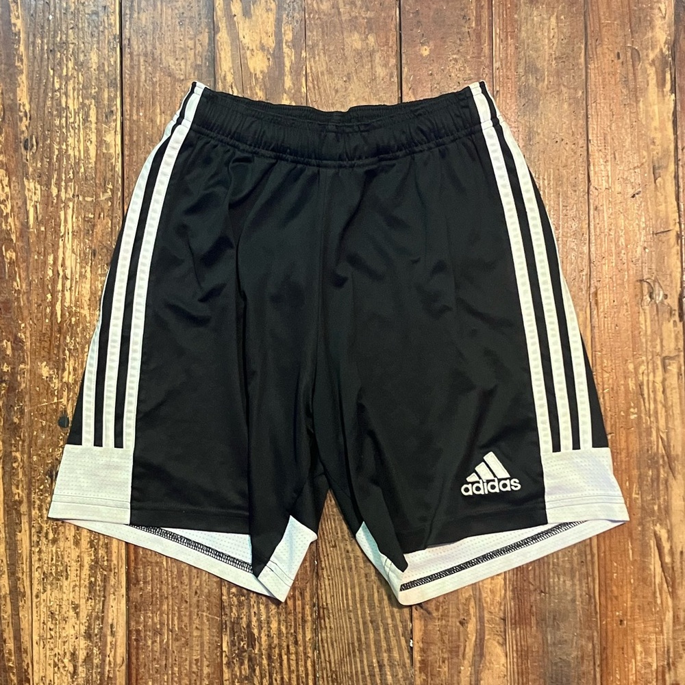 adidas Men's Tastigo 19 Shorts